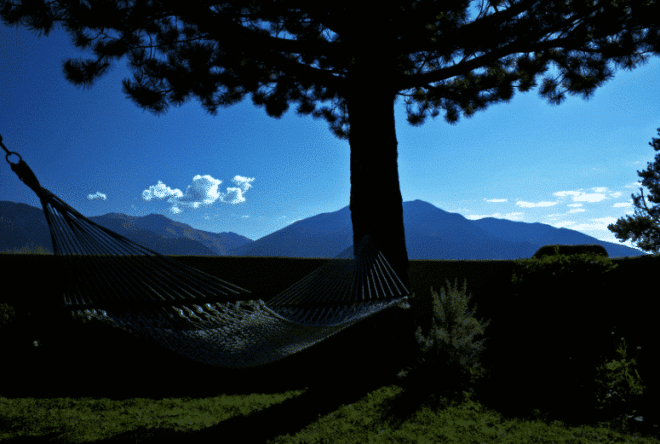 Hammock Happiness