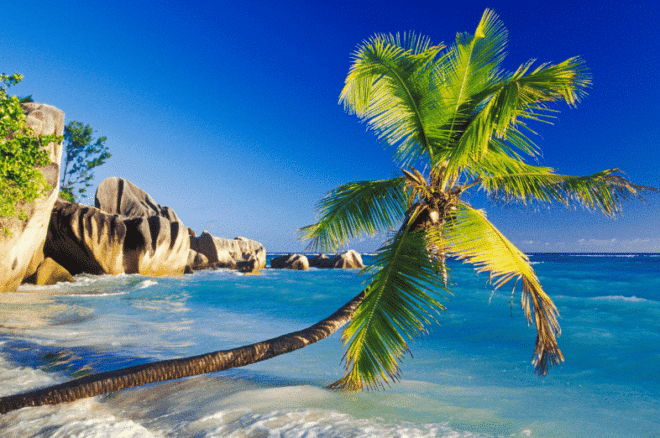 La Digue Island Palm Swim