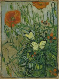 Vincent van Gogh Butterflies and poppies