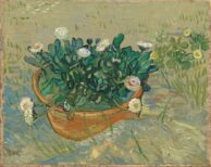 Vincent van Gogh Daisies, Arles