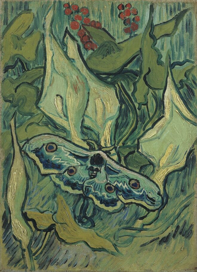 Vincent van Gogh Emperor moth