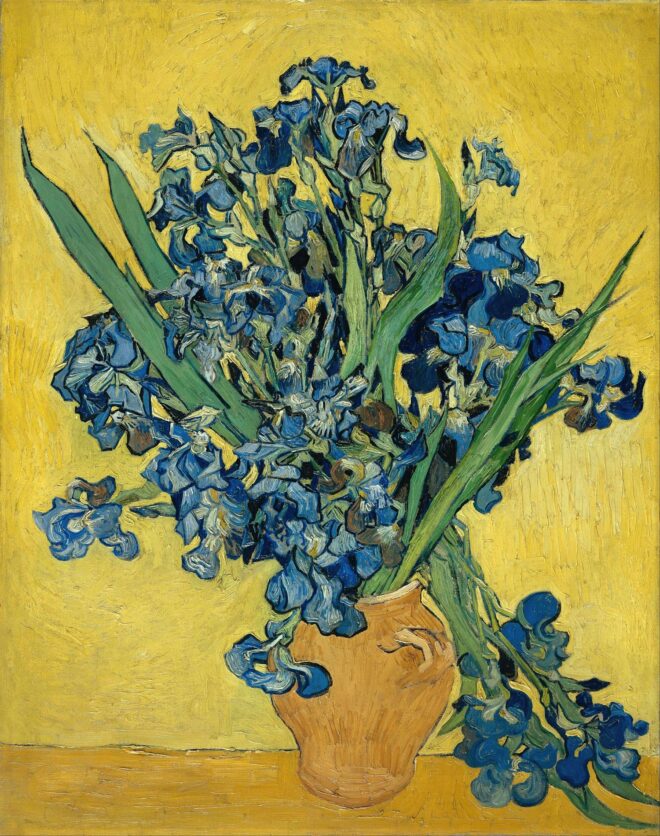 Vincent van Gogh Irises