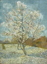 Vincent van Gogh The pink peach tree