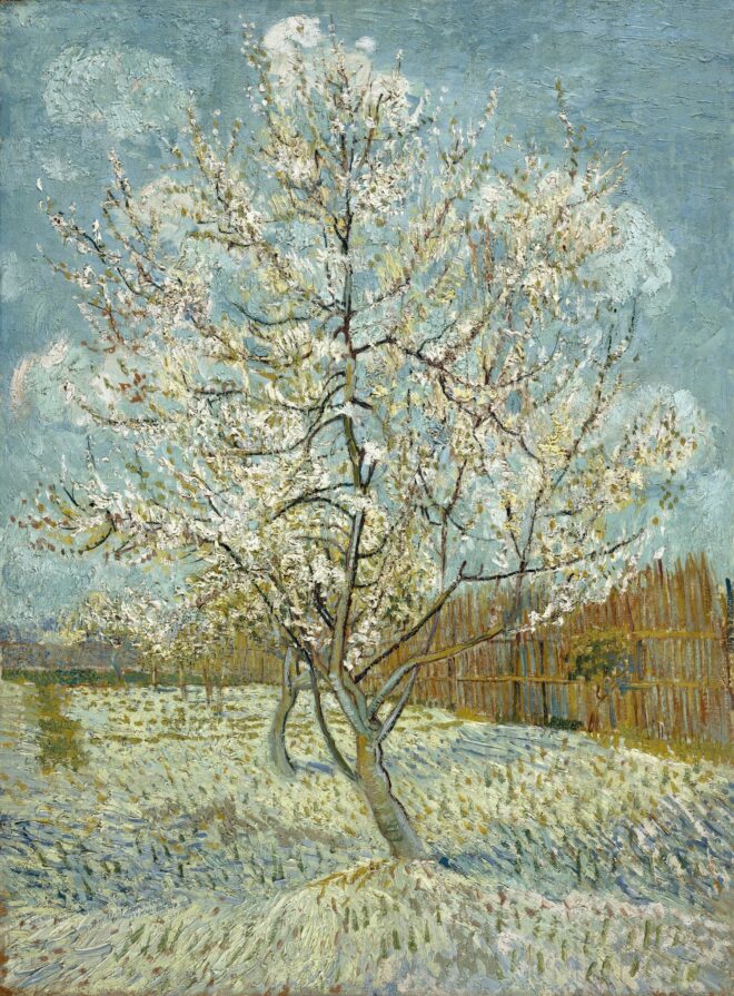 Vincent van Gogh The pink peach tree