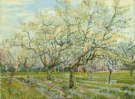 Vincent van Gogh The white orchard