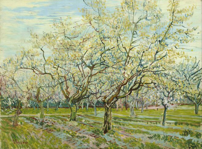 Vincent van Gogh The white orchard