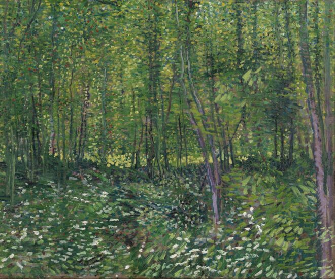 Vincent van Gogh Trees and undergrowth